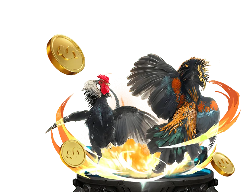 Cá Cược Thể Thao betvnd